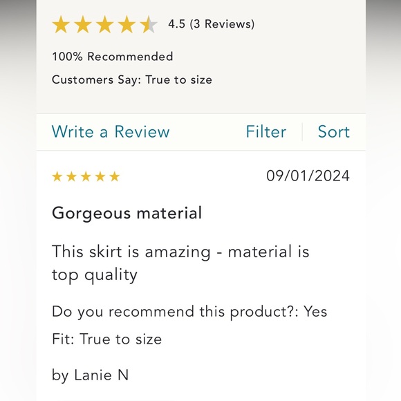 Anthropologie NWT LACE The Label Embroidered Midi Skirt size S. - Picture 6 of 7